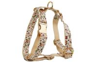 Conjunto correa perro, Collar con nombre personalizado perros pequeños y medianos, placa identificación personalizada, arnés - details 6