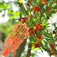 Cosechador de Frutas de Altura Herramienta de Jardín de Plástico para Melocotón, Ciruela, Jujube - details 3