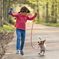 Conjunto de correa de collar de perro de cuero, collar de mascota personalizado, placa de identificación grabada gratis para perros pequeños, medianos y grandes - details 11