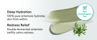 Artemisia Pack Foam Cleanser