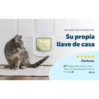 Gatera con microchip de PetSafe: Tu gato tendrá su propia llave de casa