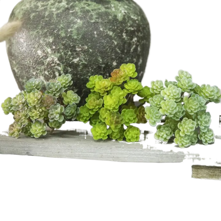 Mini planta de Cactus Artificial de 24 cabezales, planta suculenta Artificial realista de plástico, decoración de micropaisaje de tacto Real - 1
