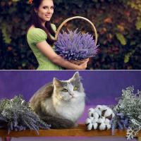 10 paquetes de flores falsas, lavanda artificial, plantas sintéticas de plástico para decoración del hogar, boda, cocina, jardín, patio, porche, ventana, centros de mesa de oficina, decoraciones para interiores y exteriores, color púrpura - details 5