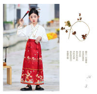 Falda con cara de caballo para niña, conjunto Hanfu, nuevo estilo Ming Tang de primavera para niños grandes, disfraz antiguo de estilo chino - details 8