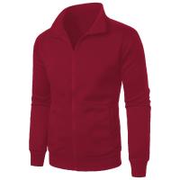 Cárdigan de color sólido para hombre, abrigo con capucha y cuello levantado con cremallera deportiva informal - details 11