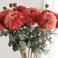 Rama de crisantemos artificiales de 80cm, 2 cabezas, simulación de tacto Real, flores de Dalia, arte Floral, flores falsas de seda hechas a mano - details 13