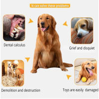 Juguete con sonido de perro caliente, entrenamiento Molar, suministros interactivos de grano de maíz, burro para mascotas, nuevo - details 4