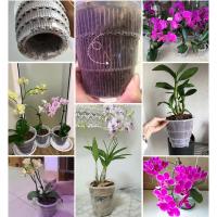 Maceta transparente de orquídeas de 10/12/15cm, macetas de orquídeas transpirables ranuradas de plástico, macetas para plantas, decoraciones de jardín y jardín - details 11