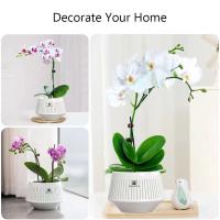 Orquídeas perforadas, plantas de interior y exterior de plástico reciclado, ETA para decoración del hogar. - details 6