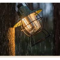 Nueva iluminación al aire libre, luz para acampar, batería de larga duración, carga para campamento, atmósfera, tienda de campaña retro, luz para caballos - details 7