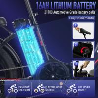 FAFREES F20 Bicicleta Eléctrica, Motor de 250W, Batería de 36V 16Ah, Neumáticos Anchos de 20*3 pulgadas, Velocidad Máxima de 25km/h, Autonomía de 60-80km, SHIMANO de 7 Velocidades, Frenos de Disco Mecánicos, Tracción Trasera, Pantalla LCD- Gris - details 3
