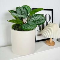 ETA para decoración del hogar, cerámica blanca plástico ETA, plantas, mesa de comedor nórdica decoración boda y dormitorio - details 10
