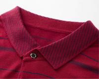 Camiseta Polo Casual de Manga Larga para Hombre 2024 Primavera Nueva Negocios Moda Rayas Transpirable Elástico Material Poliéster - details 6