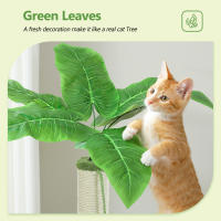 PAWZ-Pequeño árbol para gatos, torre linda con postes rascadores de sisal para gatos pequeños, hamaca grande para gatos - details 5