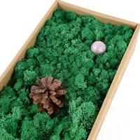 Plantas Artificiales de Colores Hierba Siempre Verde Ideal para Decoración de Hogar, Jardín, Habitación Flores Falsas - details 7