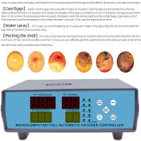 Incubadora de huevos automática XM-18K-1, controlador Digital LED, controlador de temperatura, sensores de temperatura y humedad - details 6