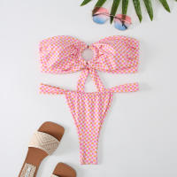 2024 New Split Bikini Printed Breasted Sexy Spicy Slim G-string Two Piece Swimwear Tight Beach Holiday Travel Swimwear Women - details 33