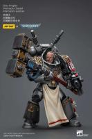 JOYTOY 40k 1/18 figuras de acción Anime 12cm caballeros grises Interceptor Strike Squad juguetes de modelos de colección - details 6