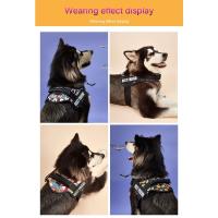 Correa de Nylon de Alta Calidad para Perros Ajustable, Personalizable, Ideal para Perros Pequeños y Grandes, Perfecto para Halloween - details 4