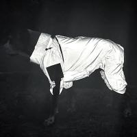 Chaqueta impermeable para perros Reflectante Solar para exteriores Ropa de abrigo para perros pequeños medianos y grandes - details 13