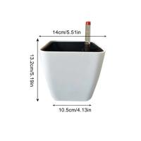Flores resistentes a la intemperie en espacios pequeños ETA, autoirrigación duradera ETA S Beauty para plantas de jardín - details 2