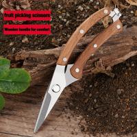 1 tijeras para recoger frutas con mango de madera de estilo clásico, hoja de acero inoxidable, tijeras de podar de jardín con agarre cómodo para injerto de jardinería de huerto - details 0