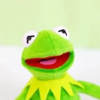Muñeco de peluche de 40 cm, Rana, Gustavo de Barrio, Sésamo - details 2