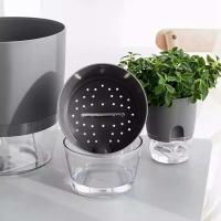 Plástico usado autoirrigación de plantas hidropónicas, ETEros en jugoso ETA, decoración de escritorio transparente para hogares y oficinas - details 7