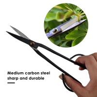 Tijeras de mango largo, herramienta para principiantes de bonsái, tijeras de jardinería para ramas de plantas, herramientas de p - details 2