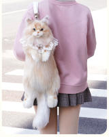 Mochila de gato de Maine, mochila de simulación, bolsa, muñeca de peluche, muñeca linda, juguete, regalo de cumpleaños - details 4