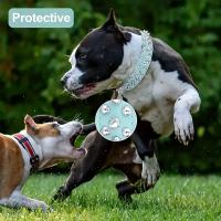 Juego de Collar y correa para perro con pinchos, Collar de perro de cuero con remaches, Collar ajustable para caminar al aire libre - details 2