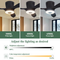 [1 año de garantía] TOMAX Nuevo ventilador inversor Luz Regulación de velocidad de tres velocidades Sala de estar y comedor simple y moderna Luz de ventilador de techo integrada Diseño silencioso Rgb Colorido Color que cambia Control remoto Modelo Ventas - details 3
