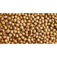 Soybean Oil, Ginseng cleansing oil