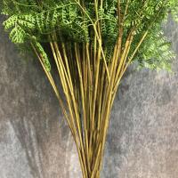 Ramas de plantas de helecho artificiales realistas, hechas a mano, tacto Real, vegetación Artificial, hierba de helecho, plantas falsas elegantes - details 2