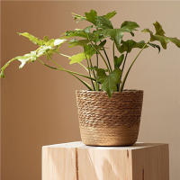 Cesta de maceta tejida Natural, maceta multifuncional para jardín, sala de estar, dormitorio, balcón - details 8