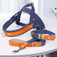 Collar de Cuero de Nylon para Perros Correa de Captura de Mascotas sin Tirón para Perros Pequeños y Grandes Correa de Vestir de Mascotas - details 20