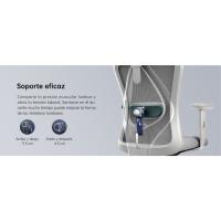 SIHOO M18 Silla Ergonómica de Oficina