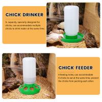 Alimentador automático de agua para aves de corral, cuenco de alimentación para aves, 1L - details 5