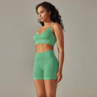 Conjunto Deportivo de Yoga sin Costuras para Mujeres Sports Bra Sin Mangas, Pantalones Cortos - details 26