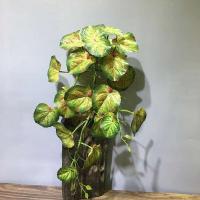 Planta artificial de 55 cm, utilizada para decoración de paredes, láminas de plástico, mini higos verdes, ramas de palma falsas, hogar, jardín y hotel - details 1