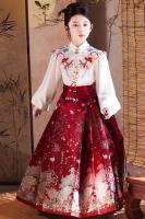Hanfu, nueva falda con cara de caballo chino para niños, ropa estilo Tang de Año Nuevo para niñas, conjunto de temporada de primavera y otoño - details 4