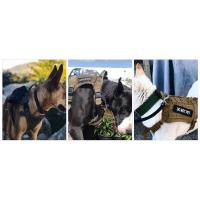 Correa Táctica para Perros Gran Collar con Correa de Disposición Militar para Perros de Todas las Sizes Chaleco de Entrenamiento para Mascotas - details 8