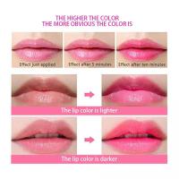 Labial de Longa Duración Brillo de Labios de Melocotón Labial de Temperatura de Cambio - details 12