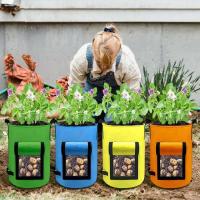 Bolsa de jardín para cultivo de verduras, asa para contenedor de patatas, cubo para plantar con ventana para cosecha de taro, 4 piezas - details 2