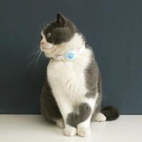Collar Locator para Mascotas de Nylon que Brilla en la Oscuridad Ajustable, Anti-Pérdida, Cubierta Protectora de Silicona para AirTag - details 8