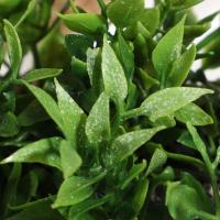 Plantas artificiales de Eulyptus, material de pila de hierba tejida de 11cm, decoración del hogar - details 4