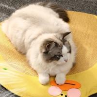 Cómoda almohadilla de refrigeración para gatos con forma de Animal, transpirable, lavable, estera fresca para mascotas, estera de refrigeración de hielo de dibujos animados antideslizante, descanso cómodo - details 11