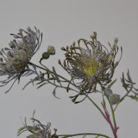 Flor de cojín Artificial de 63cm, 3 cabezas, garra de cangrejo realista, flor de crisantemo, tacto Real, flores falsas hechas a mano para sala de estar - details 6