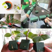 El inicio de flores DIY ideal del cuadrado verde es para decoraciones de bodas - details 4