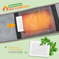 Cinturón de Calentamiento Infrarrojo Eléctrico con Luz Roja para Masaje de Cintura y Apoyo Lumbar Alivio del Dolor Vibración y Masaje de Todos los Tipos de Piel - details 5